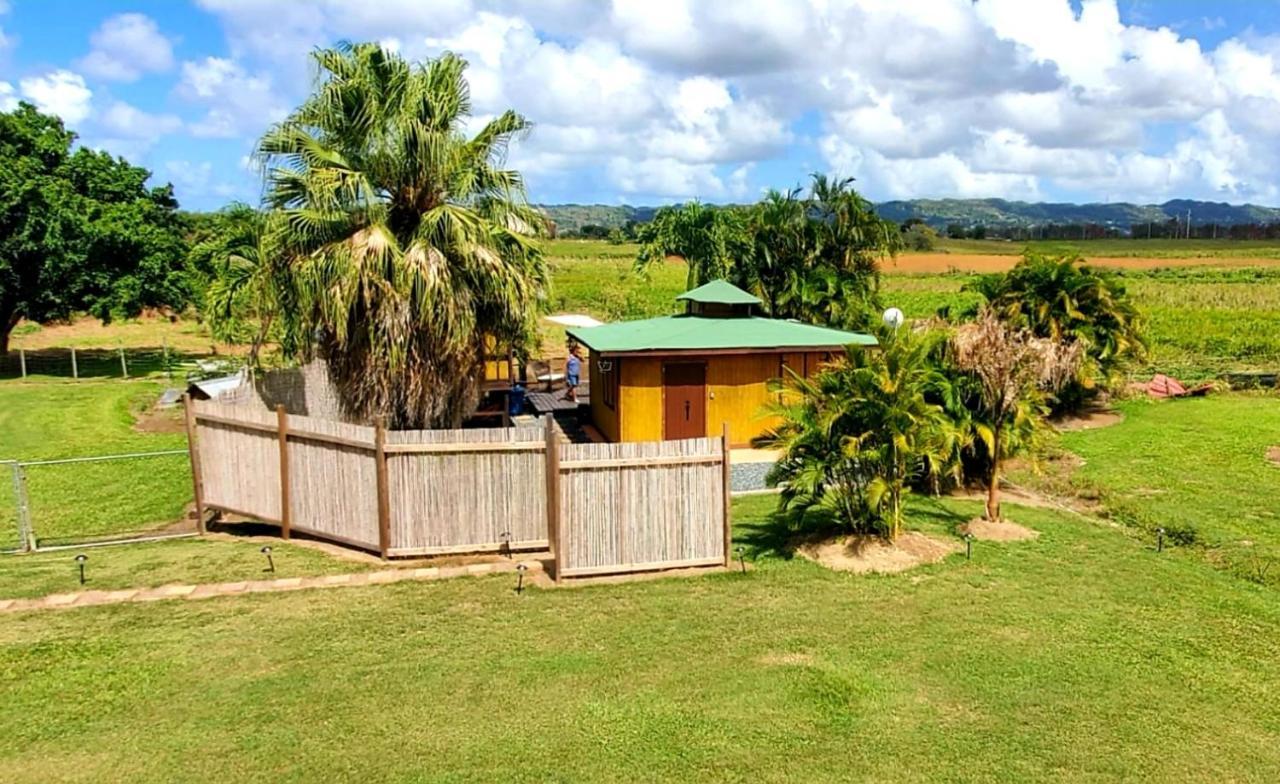Ariami Rose Hotel Aguada Exterior photo